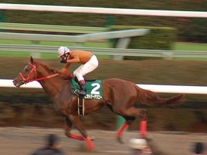 優勝馬ビクトリーテツニー