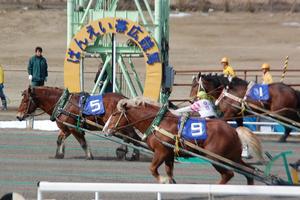 若草特別優勝馬トレジャーハンター