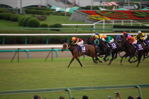 直線で馬群から抜け出すスリープレスナイト