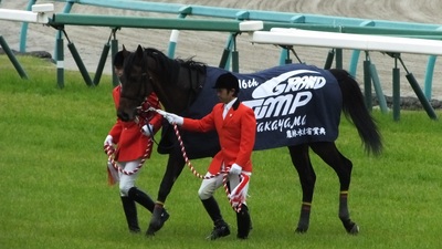 優勝馬アポロマーベリック