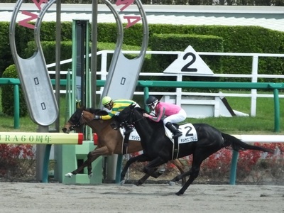 江田照男騎手８００勝達成の瞬間