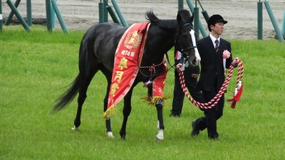 優勝馬イスラボニータ