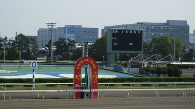 大井競馬場