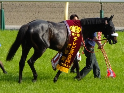 優勝馬ショウナンラグーン