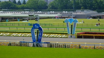 東京競馬場