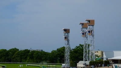 東京競馬場