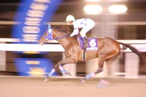 ビッグバン優勝！！