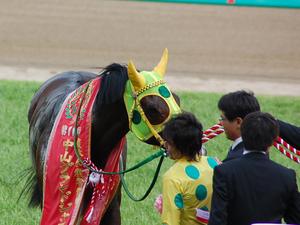 スプリングゲントと白浜雄造