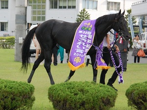 コスモヴァシュラン