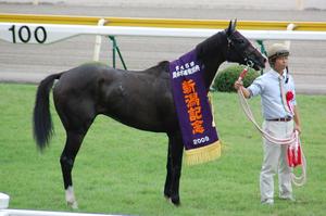 優勝馬ホッコーパドゥシャ