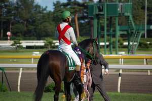 優勝馬アルコセニョーラ＆武士沢友治