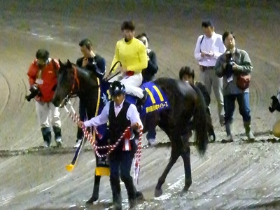 優勝馬サトノタイガー