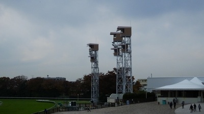 朝の東京競馬場