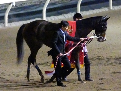 優勝馬ディアマイダーリン