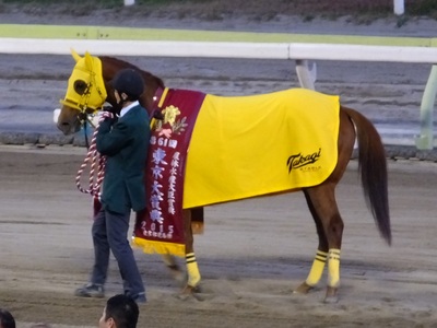 優勝馬サウンドトゥルー