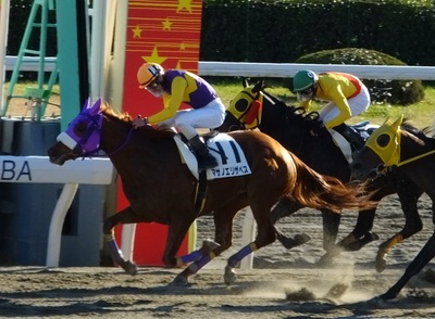 真島大輔騎手（大井）１５００勝