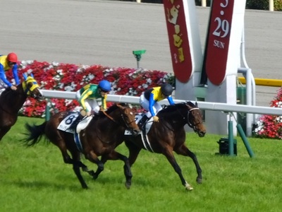 マカヒキとサトノダイヤモンドの２頭が並んでゴール