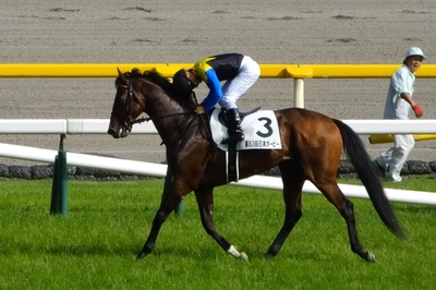 マカヒキの馬上で頭を下げる川田将雅騎手