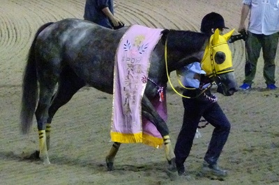 優勝馬ホワイトフーガ