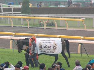 優勝馬ロジユニヴァース