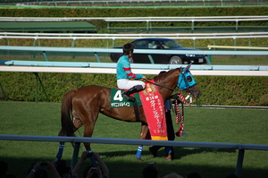 優勝馬ヤマニンメルベイユ