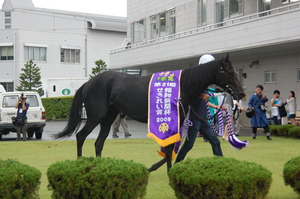 優勝馬コスモヴァシュラン