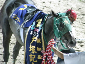 優勝馬ジルグリッター