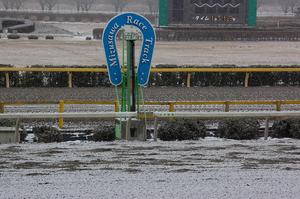 コースにも雪が