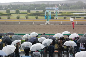 船橋は雨模様