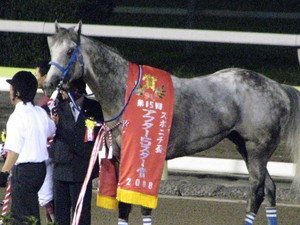 優勝馬ディープサマー