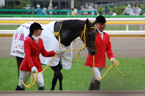 優勝馬ブエナビスタ