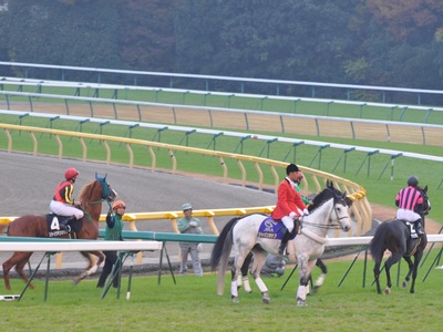 最終レース馬場入場