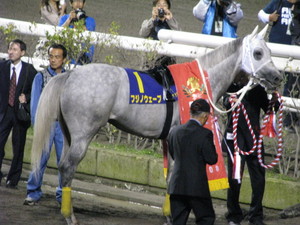 優勝馬フジノウェーブ