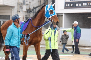 トウケイニセイ