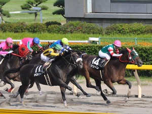 外からシビルウォーが並びかける