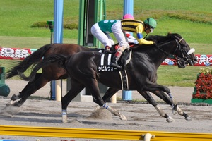 シビルウォーが先頭でゴール