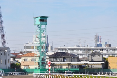 浦和競馬場