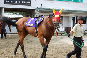 フェラーリピサ