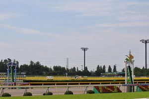 この日も暑かった新潟競馬場