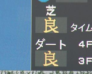 馬場状態