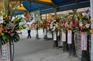 お祝いの花