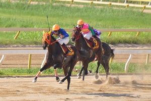 テイエムヨカドーが突き放す