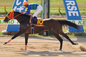 テイエムヨカドーが先頭でゴール