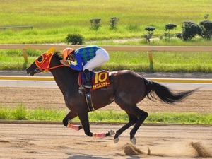 テイエムヨカドーを称える森泰斗