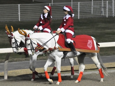 クリスマス仕様の誘導馬