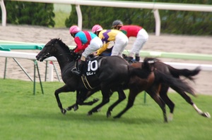 ３頭並んでの大接戦