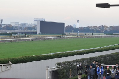 東京競馬場