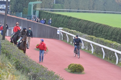 地下馬道から外国馬たちが登場