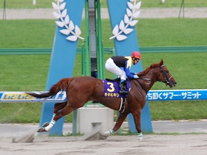 カネヒキリが先頭でゴール