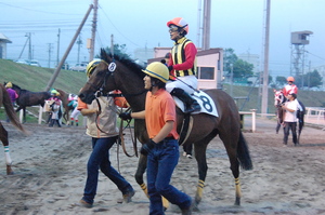 優勝馬マニエリスム